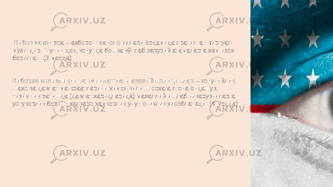   Кибермакон  эса – ахборот технологиялари ёрдамида яратилган виртуал муҳитдир. Шунингдек, қонунда бошқа кўплаб зарурий атамаларга ҳам изоҳ берилган. (3-модда) Киберхавфсизликни таъминлашдаги асосий принциплар  – қонунийлик, шахс ва давлат манфаатларини ҳимоя қилиш, соҳага ягона ёндашув, тизимни яратишда (давлат харидларида) маҳаллий ишлаб чиқарувчиларга устуворлик бериш, халқаро ҳамкорлик учун очиқлик ҳисобланади. (4-модда) 