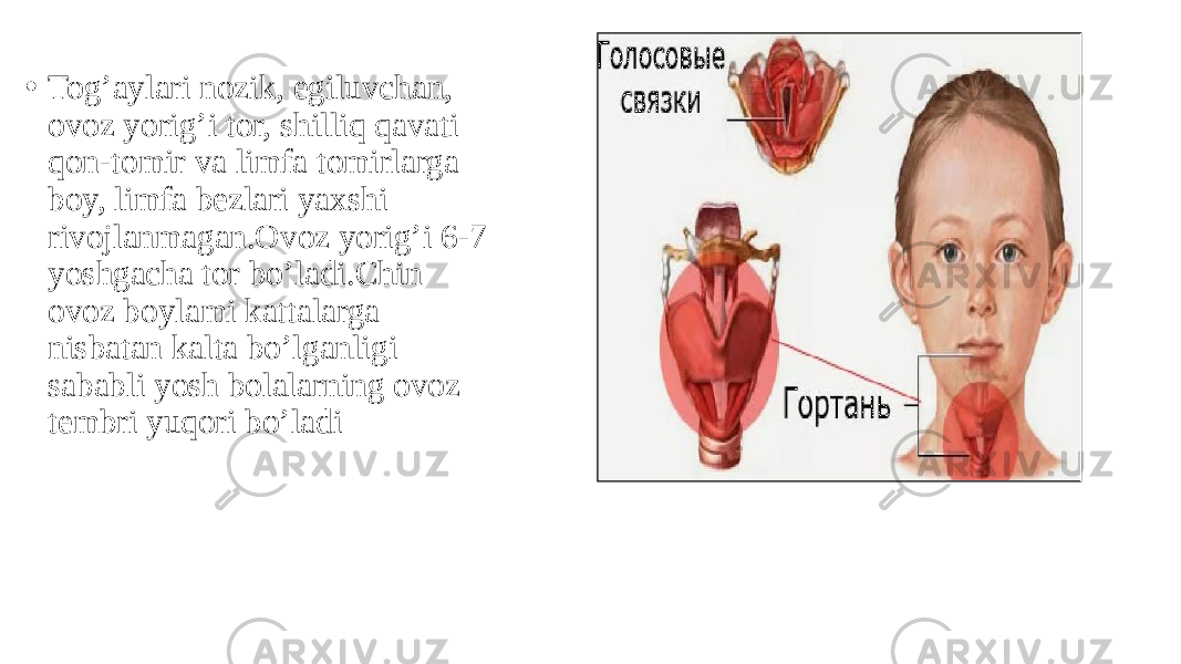 • Tog’aylari nozik, egiluvchan, ovoz yorig’i tor, shilliq qavati qon-tomir va limfa tomirlarga boy, limfa bezlari yaxshi rivojlanmagan.Ovoz yorig’i 6-7 yoshgacha tor bo’ladi.Chin ovoz boylami kattalarga nisbatan kalta bo’lganligi sababli yosh bolalarning ovoz tembri yuqori bo’ladi 