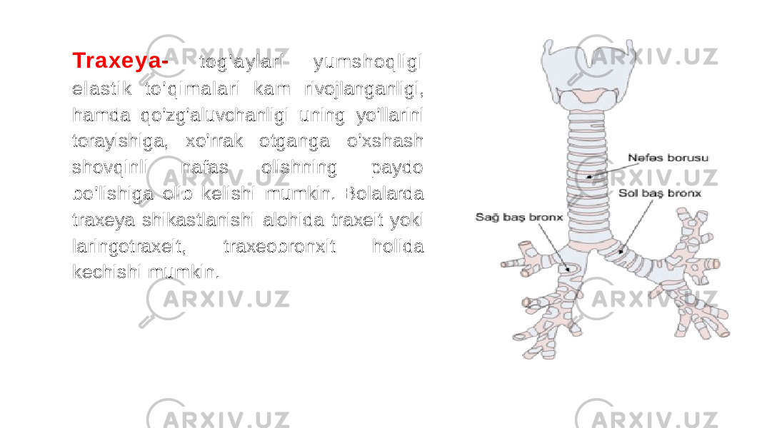 Traxeya- t og’aylari yumshoqligi elast ik to’qimalari kam rivojlanganligi, hamda qo’zg’aluvchanligi uning yo’llarini torayishiga, xo’rrak otganga o’xshash shovqinli nafas olishning paydo bo’lishiga olib kelishi mumkin. Bolalarda traxeya shikastlanishi alohida traxeit yoki laringotraxeit, traxeobronxit holida kechishi mumkin. 