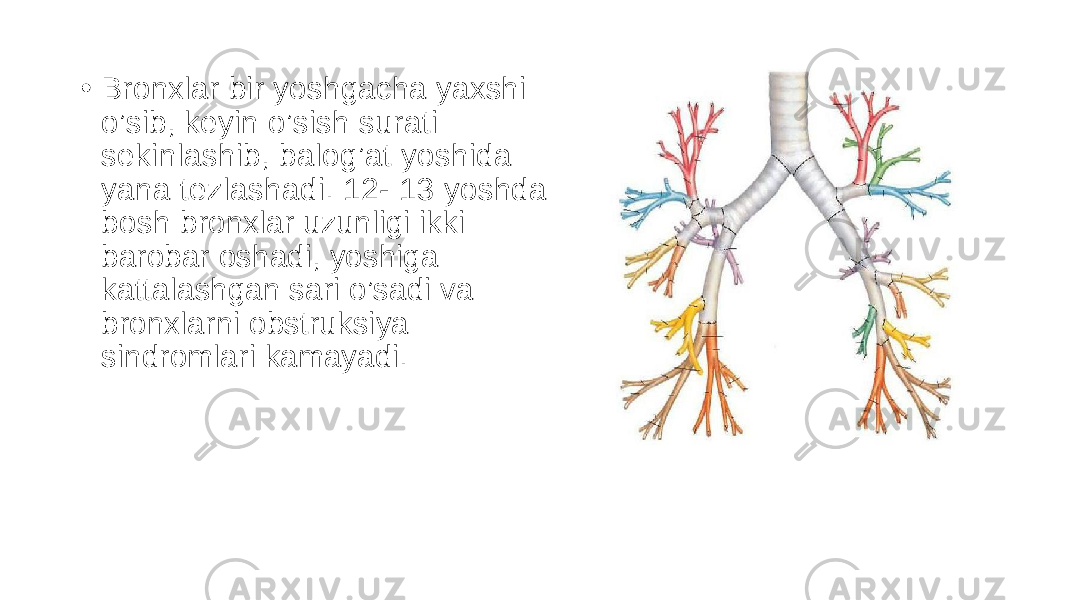 • Bronxlar bir yoshgacha yaxshi o’sib, keyin o’sish surati sekinlashib, balog’at yoshida yana tezlashadi. 12- 13 yoshda bosh bronxlar uzunligi ikki barobar oshadi, yoshiga kattalashgan sari o’sadi va bronxlarni obstruksiya sindromlari kamayadi. 