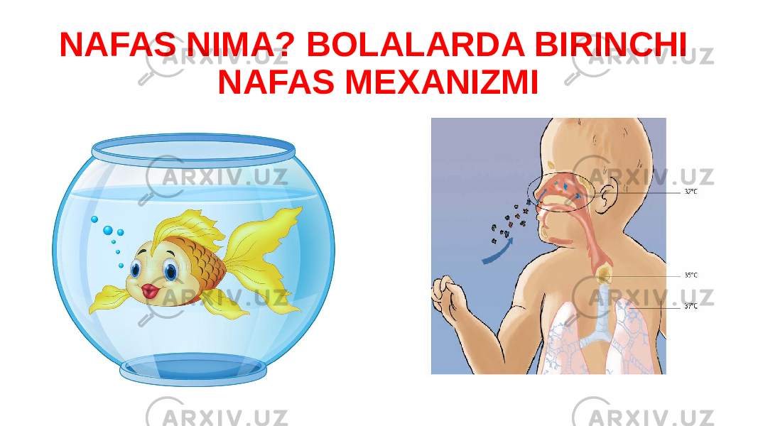 NAFAS NIMA? BOLALARDA BIRINCHI NAFAS MEXANIZMI 