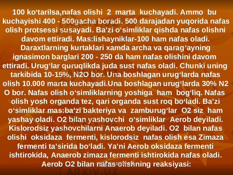 100 ko ‘ tarilsa , nafas olishi 2 marta kuchayadi . Ammo bu kuchayishi 400 - 500 gacha boradi . 500 darajadan yuqorida nafas olish protsessi susayadi . Ba ’ zi o ‘ simliklar qishda nafas olishni davom ettiradi . Mas : lishayniklar -100 ham nafas oladi . Daraxtlarning kurtaklari xamda archa va qarag ‘ ayning ignasimon barglari 200 - 250 da ham nafas olishini davom ettiradi . Urug ‘ lar quruqlikda juda sust nafas oladi . Chunki uning tarkibida 10-15%, N 2 O bor . Una boshlagan urug ‘ larda nafas olish 10.000 marta kuchayadi . Una boshlagan urug ‘ larda 30% N 2 O bor . Nafas olish o ‘ simliklarning yoshiga ham bog ‘ liq . Nafas olish yosh organda tez , qari organda sust roq bo ‘ ladi . Ba ’ zi o ‘ simliklar mas : ba ’ zi bakteriya va zamburug ‘ lar O 2 siz ham yashay oladi . O 2 bilan yashovchi o ‘ simliklar Aerob deyiladi . Kislorodsiz yashovchilarni Anaerob deyiladi . O 2 bilan nafas olishi oksidaza fermenti , kislorodsiz nafas olish esa Zimaza fermenti ta ’ sirida bo ‘ ladi . Ya ’ ni Aerob oksidaza fermenti ishtirokida , Anaerob zimaza fermenti ishtirokida nafas oladi . Aerob O2 bilan nafas olishning reaksiyasi: WWW.ARXIV.UZWWW.ARXIV.UZ 