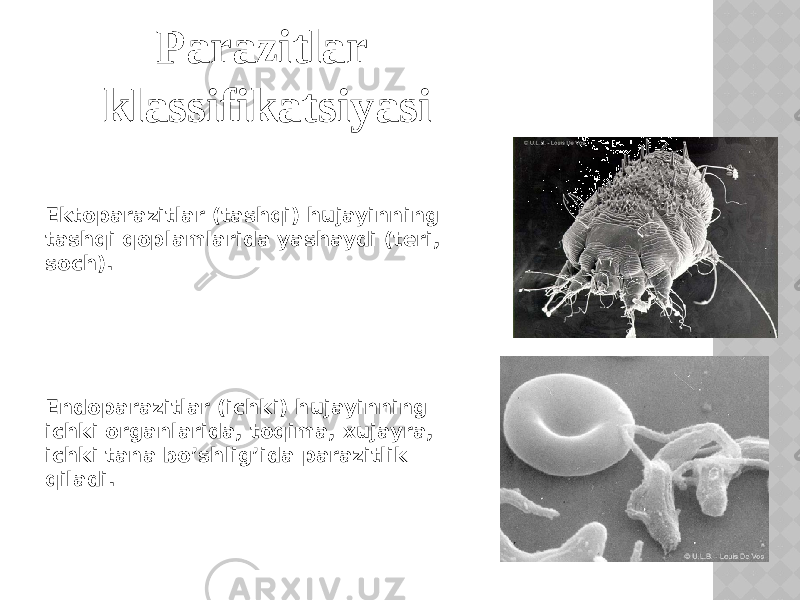 Parazitlar klassifikatsiyasi Ektoparazitlar (tashqi) hujayinning tashqi qoplamlarida yashaydi (teri, soch). Endoparazitlar (ichki) hujayinning ichki organlarida, toqima, xujayra, ichki tana bo’shlig’ida parazitlik qiladi. 