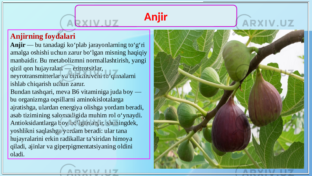 Anjirning foydalari Anjir — bu tanadagi ko‘plab jarayonlarning to‘g‘ri amalga oshishi uchun zarur bo‘lgan misning haqiqiy manbaidir. Bu metabolizmni normallashtirish, yangi qizil qon hujayralari — eritrotsitlar, neyrotransmitterlar va biriktiruvchi to‘qimalarni ishlab chiqarish uchun zarur. Bundan tashqari, meva B6 vitaminiga juda boy — bu organizmga oqsillarni aminokislotalarga ajratishga, ulardan energiya olishga yordam beradi, asab tizimining salomatligida muhim rol o‘ynaydi. Antioksidantlarga boy bo‘lgan anjir, shuningdek, yoshlikni saqlashga yordam beradi: ular tana hujayralarini erkin radikallar ta’siridan himoya qiladi, ajinlar va giperpigmentatsiyaning oldini oladi. Anjir 