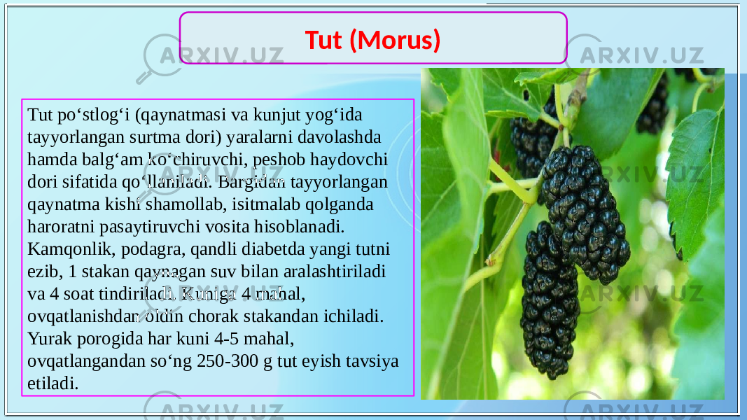 Tut po‘stlog‘i (qaynatmasi va kunjut yog‘ida tayyorlangan surtma dori) yaralarni davolashda hamda balg‘am ko‘chiruvchi, peshob haydovchi dori sifatida qo‘llaniladi. Bargidan tayyorlangan qaynatma kishi shamollab, isitmalab qolganda haroratni pasaytiruvchi vosita hisoblanadi. Kamqonlik, podagra, qandli diabetda yangi tutni ezib, 1 stakan qaynagan suv bilan aralashtiriladi va 4 soat tindiriladi. Kuniga 4 mahal, ovqatlanishdan oldin chorak stakandan ichiladi. Yurak porogida har kuni 4-5 mahal, ovqatlangandan so‘ng 250-300 g tut eyish tavsiya etiladi. Tut (Morus) 