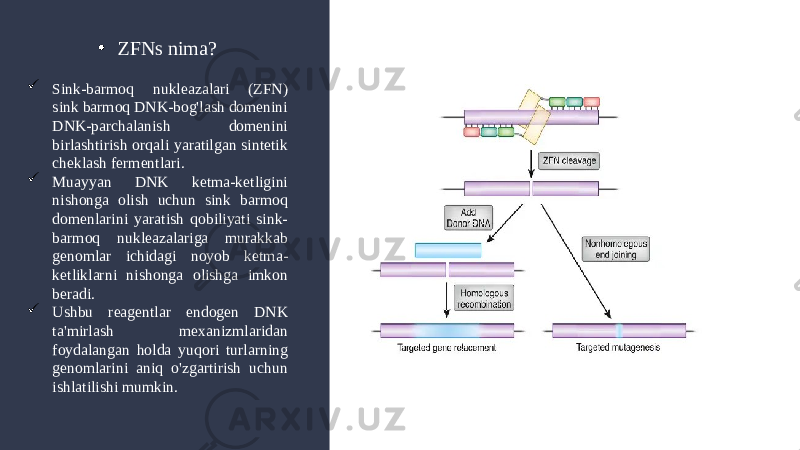 • ZFNs nima?  Sink-barmoq nukleazalari (ZFN) sink barmoq DNK-bog&#39;lash domenini DNK-parchalanish domenini birlashtirish orqali yaratilgan sintetik cheklash fermentlari.  Muayyan DNK ketma-ketligini nishonga olish uchun sink barmoq domenlarini yaratish qobiliyati sink- barmoq nukleazalariga murakkab genomlar ichidagi noyob ketma- ketliklarni nishonga olishga imkon beradi.  Ushbu reagentlar endogen DNK ta&#39;mirlash mexanizmlaridan foydalangan holda yuqori turlarning genomlarini aniq o&#39;zgartirish uchun ishlatilishi mumkin. 