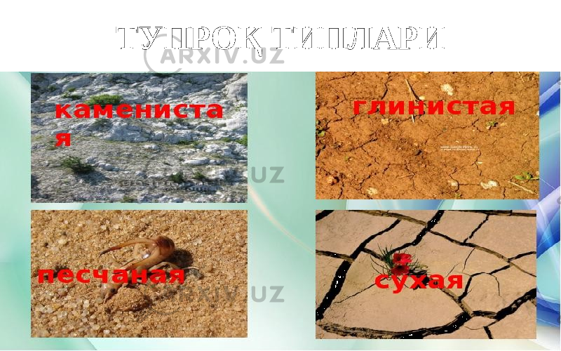 ТУПРОҚ ТИПЛАРИ 