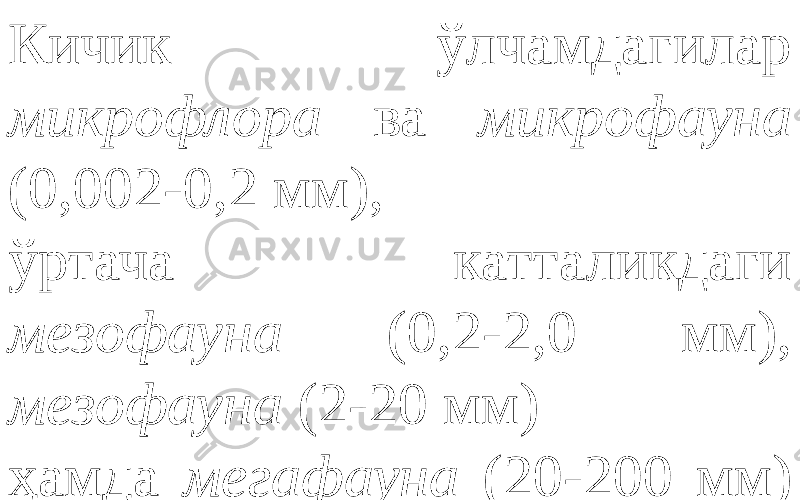 Кичик ўлчамдагилар микрофлора ва микрофауна (0,002-0,2 мм), ўртача катталикдаги мезофауна (0,2-2,0 мм), мезофауна (2-20 мм) ҳамда мегафауна (20-200 мм) каби гуруҳларга ажратилади. 