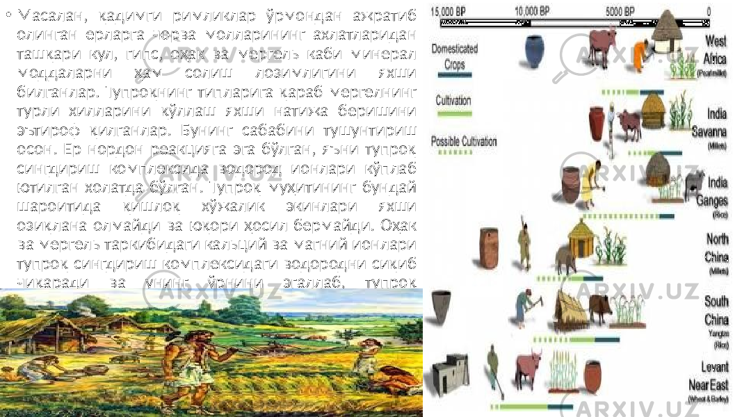 • Масалан, қадимги римликлар ўрмондан ажратиб олинган ерларга чорва молларининг ахлатларидан ташқари кул, гипс, оҳак ва мергель каби минерал моддаларни ҳам солиш лозимлигини яхши билганлар. Тупроқнинг типларига қараб мергелнинг турли хилларини қўллаш яхши натижа беришини эътироф қилганлар. Бунинг сабабини тушунтириш осон. Ер нордон реакцияга эга бўлган, яъни тупроқ сингдириш комплексида водород ионлари кўплаб ютилган холатда бўлган. Тупроқ муҳитининг бундай шароитида қишлоқ хўжалик экинлари яхши озиқлана олмайди ва юқори ҳосил бермайди. Оҳак ва мергель таркибидаги кальций ва магний ионлари тупроқ сингдириш комплексидаги водородни сиқиб чиқаради ва унинг ўрнини эгаллаб, тупроқ реакциясини нейтралга яқинлаштиради. 