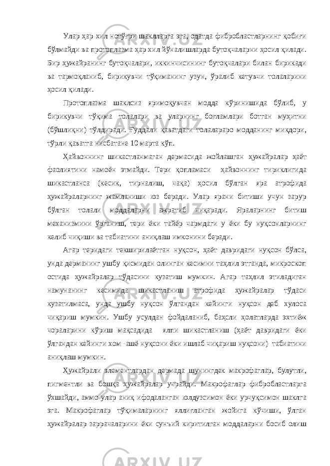 Улар ҳар хил нотўғри шаклларга эга, одатда фибробластларнинг қобиғи бўлмайди ва протоплазма ҳар хил йўналишларда бутоқчаларни ҳосил қилади. Бир ҳужайранинг бутоқчалари, иккинчисининг бутоқчалари билан бирикади ва тармоқланиб, бирикувчи тўқиманинг узун, ўралиб кетувчи толаларини ҳосил қилади. Протоплазма шаклсиз яримоқувчан модда кўринишида бўлиб, у бирикувчи тўқима толалари ва уларнинг боғламлари ботган муҳитни (бўшлиқни) тўлдиради. Ғуддали қаватдаги толалараро модданинг миқдори, тўрли қаватга нисбатане 10 марта кўп. Ҳайвоннинг шикастланмаган дермасида жойлашган ҳужайралар ҳаёт фаолиятини намоён этмайди. Тери қопламаси ҳайвоннинг тириклигида шикастланса (кесик, тирналиш, чақа) ҳосил бўлган яра атрофида ҳужайраларнинг жамланиши юз беради. Улар ярани битиши учун зарур бўлган толали моддаларни ажратиб чиқаради. Яраларнинг битиш механизмини ўрганиш, тери ёки тайёр чармдаги у ёки бу нуқсонларнинг келиб чиқиши ва табиатини аниқлаш имконини беради. Агар теридаги текширилаётган нуқсон, ҳаёт давридаги нуқсон бўлса, унда дерманинг ушбу қисмидан олинган кесимни таҳлил этганда, микроскоп остида ҳужайралар тўдасини кузатиш мумкин. Агар таҳлил этиладиган намунанинг кесимида шикастланиш атрофида ҳужайралар тўдаси кузатилмаса, унда ушбу нуқсон ўлгандан кейинги нуқсон деб хулоса чиқариш мумкин. Ушбу усулдан фойдаланиб, баҳсли ҳолатларда эхтиёж чораларини кўриш мақсадида ялпи шикастланиш (ҳаёт давридаги ёки ўлгандан кейинги хом -ашё нуқсони ёки ишлаб чиқариш нуқсони) табиатини аниқлаш мумкин. Ҳужайрали элементлардан дермада шунингдек макрофаглар, булутли, пигментли ва бошқа ҳужайралар учрайди. Макрофаглар фибробластларга ўхшайди, аммо улар аниқ ифодаланган юлдузсимон ёки урчуқсимон шаклга эга. Макрофаглар тўқималарнинг яллиғланган жойига кўчиши, ўлган ҳужайралар заррачаларини ёки сунъий киритилган моддаларни босиб олиш 