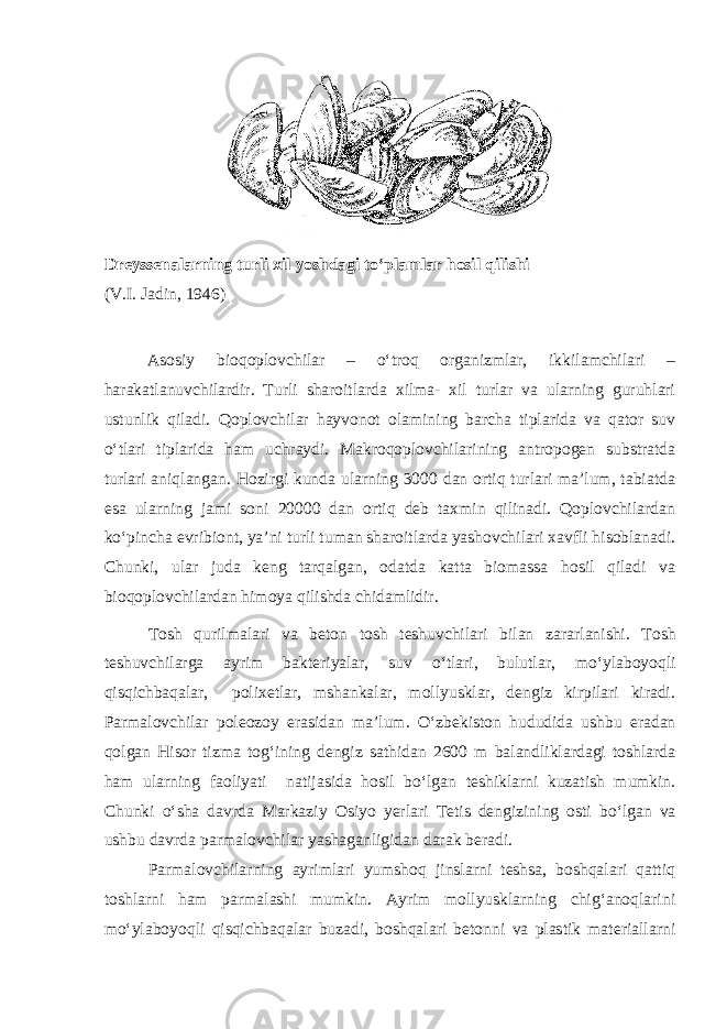 Dreyssenalarning turli xil yoshdagi tо‘plamlar hosil qilishi (V.I. Jadin, 1946) Asosiy bioqoplovchilar – о‘troq organizmlar, ikkilamchilari – harakatlanuvchilardir. Turli sharoitlarda xilma- xil turlar va ularning guruhlari ustunlik qiladi. Qoplovchilar hayvonot olamining barcha tiplarida va qator suv о‘tlari tiplarida ham uchraydi. Makroqoplovchilarining antropogen substratda turlari aniqlangan. Hozirgi kunda ularning 3000 dan ortiq turlari ma’lum, tabiatda esa ularning jami soni 20000 dan ortiq deb taxmin qilinadi. Qoplovchilardan kо‘pincha evribiont, ya’ni turli tuman sharoitlarda yashovchilari xavfli hisoblanadi. Chunki, ular juda keng tarqalgan, odatda katta biomassa hosil qiladi va bioqoplovchilardan himoya qilishda chidamlidir. Tosh q urilmalari va beton tosh teshuvchilari bilan zararlanishi . Tosh teshuvchilar ga ayrim bakteriyalar, suv о ‘tlari, bulutlar, m о ‘yl aboyoqli qisqichbaqalar, polixetlar, mshankalar, mollyusklar, dengiz kirpilari kiradi. Parmalovchilar poleozoy erasidan ma’lum. О ‘zbekiston hududida ushbu eradan qolgan Hisor tizma tog‘ining dengiz sathidan 2600 m balandliklardagi toshlarda ham ularning faoliyati natijasida hosil b о ‘lgan teshiklarni kuzatish mumkin. Chunki о ‘sha davrda Markaziy Osiyo yerlari Tetis dengizining osti b о ‘lgan va ushbu davrda parmalovchilar yashaganligidan darak beradi . Parmalovchilarning ayrimlari yumshoq jinslarni teshsa, boshqalari qattiq toshlarni ham parmalashi mumkin. Ayrim mollyusklarning chig‘anoqlarini mо‘ylaboyoqli qisqichbaqalar buzadi, boshqalari betonni va plastik materiallarni 