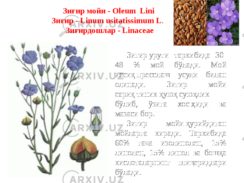 Зиғир мойи - Оleum Lini Зиғир - Linum usitatissimum L . Зиғирдошлар - Linасеае Зиғир уруғи таркибида 30- 48 % мой бўлади. Мой иссиқ пресслаш усули билан олинади. Зиғир мойи сариқ тиник қуюқ суюқлик бўлиб, ўзига хос ҳиди ва мазаси бор. Зиғир мойи қурийдиган мойларга киради. Таркибида 60% гача изолинолен, 15% линолен, 15% линол ва бошқа кислоталарнинг глицеридлари бўлади. 