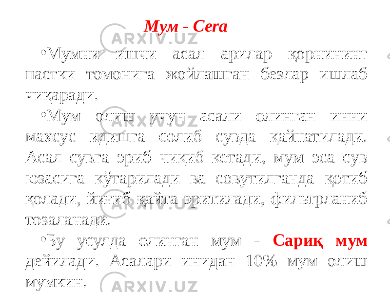 Мум - Сеrа • Мумни ишчи асал арилар қорнининг пастки томонига жойлашган безлар ишлаб чиқаради. • Мум олиш учун асали олинган инни махсус идишга солиб сувда қайнатилади. Асал сувга эриб чиқиб кетади, мум эса сув юзасига кўтарилади ва совутилганда қотиб қолади, йиғиб қайта эритилади, фильтрланиб тозаланади. • Бу усулда олинган мум - Сариқ мум дейилади. Асалари инидан 10% мум олиш мумкин. 