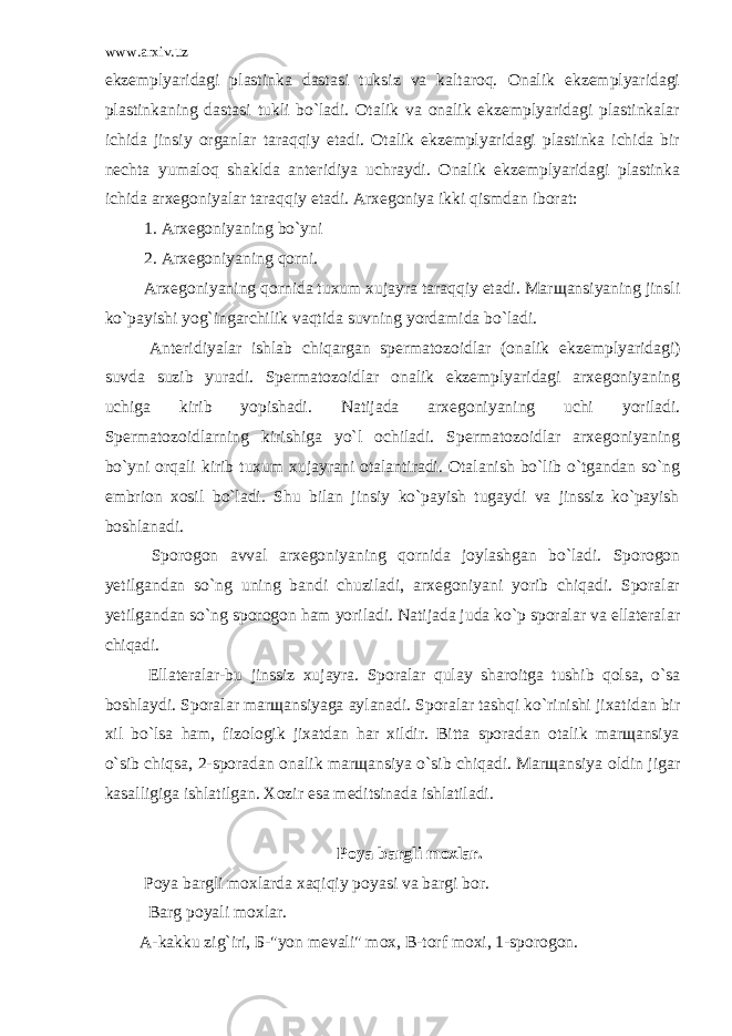 www.arxiv.uz ekzemplyaridagi plastinka dastasi tuksiz va kaltaroq. Onalik ekzemplyaridagi plastinkaning dastasi tukli bo`ladi. Otalik va onalik ekzemplyaridagi plastinkalar ichida jinsiy organlar taraqqiy etadi. Otalik ekzemplyaridagi plastinka ichida bir nechta yumaloq shaklda anteridiya uchraydi. Onalik ekzemplyaridagi plastinka ichida arxegoniyalar taraqqiy etadi. Arxegoniya ikki qismdan iborat: 1. Arxegoniyaning bo`yni 2. Arxegoniyaning qorni. Arxegoniyaning qornida tuxum xujayra taraqqiy etadi. Marщansiyaning jinsli ko`payishi yog`ingarchilik vaqtida suvning yordamida bo`ladi. Anteridiyalar ishlab chiqargan spermatozoidlar (onalik ekzemplyaridagi) suvda suzib yuradi. Spermatozoidlar onalik ekzemplyaridagi arxegoniyaning uchiga kirib yopishadi. Natijada arxegoniyaning uchi yoriladi. Spermatozoidlarning kirishiga yo`l ochiladi. Spermatozoidlar arxegoniyaning bo`yni orqali kirib tuxum xujayrani otalantiradi. Otalanish bo`lib o`tgandan so`ng embrion xosil bo`ladi. Shu bilan jinsiy ko`payish tugaydi va jinssiz ko`payish boshlanadi. Sporogon avval arxegoniyaning qornida joylashgan bo`ladi. Sporogon yetilgandan so`ng uning bandi chuziladi, arxegoniyani yorib chiqadi. Sporalar yetilgandan so`ng sporogon ham yoriladi. Natijada juda ko`p sporalar va ellateralar chiqadi. Ellateralar-bu jinssiz xujayra. Sporalar qulay sharoitga tushib qolsa, o`sa boshlaydi. Sporalar marщansiyaga aylanadi. Sporalar tashqi ko`rinishi jixatidan bir xil bo`lsa ham, fizologik jixatdan har xildir. Bitta sporadan otalik marщansiya o`sib chiqsa, 2-sporadan onalik marщansiya o`sib chiqadi. Marщansiya oldin jigar kasalligiga ishlatilgan. Xozir esa meditsinada ishlatiladi. Poya bargli moxlar . Poya bargli moxlarda xaqiqiy poyasi va bargi bor. Barg poyali moxlar. А-kakku zig`iri, Б-&#34;yon mevali&#34; mox, В-torf moxi, 1-sporogon. 