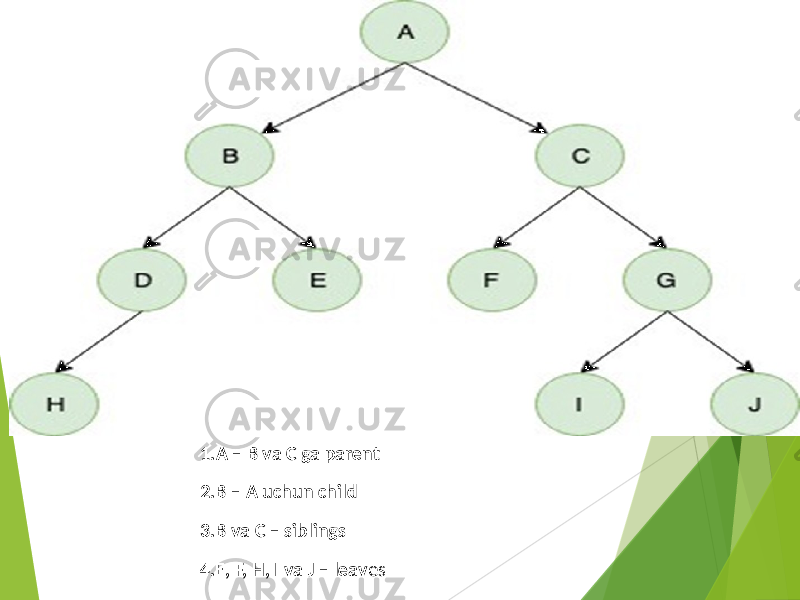  misolda: 1.A – B va C ga parent 2.B – A uchun child 3.B va C – siblings 4.E, F, H, I va J – leav es 