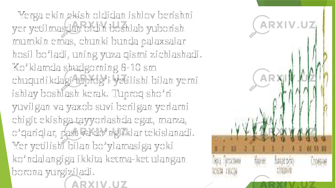  Yerga ekin ekish oldidan ishlov berishni yer yetilmasdan oldin boshlab yuborish mumkin emas, chunki bunda palaxsalar hosil bo’ladi, uning yuza qismi zichlashadi. Кo’klamda shudgorning 8-10 sm chuqurlikdagi tuprog’i yetilishi bilan yerni ishlay boshlash kerak. Tuproq sho’ri yuvilgan va yaxob suvi berilgan yerlarni chigit ekishga tayyorlashda egat, marza, o’qariqlar, past va do’ngliklar tekislanadi. Yer yetilishi bilan bo’ylamasiga yoki ko’ndalangiga ikkita ketma-ket ulangan borona yurgiziladi. 