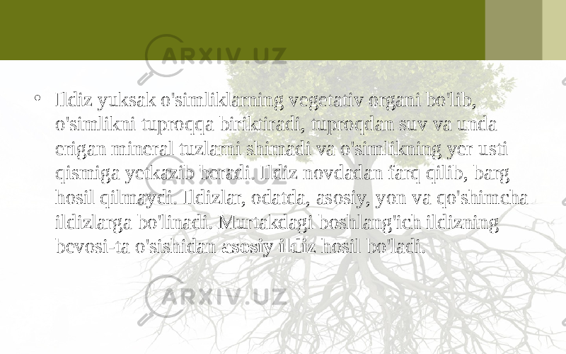 • Ildiz yuksak o&#39;simliklarning vegetativ organi bo&#39;lib, o&#39;simlikni tuproqqa biriktiradi, tuproqdan suv va unda erigan mineral tuzlarni shimadi va o&#39;simlikning yer usti qismiga yetkazib beradi. Ildiz novdadan farq qilib, barg hosil qilmaydi. Ildizlar, odatda, asosiy, yon va qo&#39;shimcha ildizlarga bo&#39;linadi. Murtakdagi boshlang&#39;ich ildizning bevosi-ta o&#39;sishidan asosiy ildiz hosil bo&#39;ladi. 