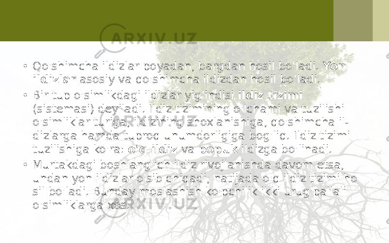 • Qo&#39;shimcha ildizlar poyadan, bargdan hosil bo&#39;ladi. Yon ildizlar asosiy va qo&#39;shimcha ildizdan hosil bo&#39;ladi. • Bir tup o&#39;simlikdagi ildizlar yig&#39;indisi ildiz tizimi (sistemasi) deyiladi. Ildiz tizimining o&#39;lchami va tuzilishi o&#39;simliklar turiga, ildizining shoxlanishiga, qo&#39;shimcha il- dizlarga hamda tuproq unumdorligiga bog&#39;liq. Ildiz tizi mi tuzilishiga ko&#39;ra: o&#39;q ildiz va popuk ildizga bo&#39;linadi. • Murtakdagi boshlang&#39;ich ildiz rivojlanishda davom etsa, undan yon ildizlar o&#39;sib chiqadi, natijada o&#39;q ildiz tizimi ho sil bo&#39;ladi. Bunday moslashish ko&#39;pchilik ikki urug&#39;pallali o&#39;simliklarga xos. 