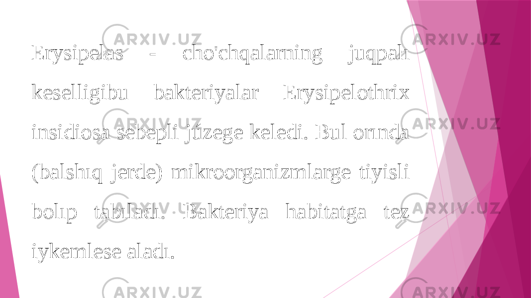 Erysipelas - cho&#39;chqalarning juqpalı keselligibu bakteriyalar Erysipelothrix insidiosa sebepli júzege keledi. Bul orında (balshıq jerde) mikroorganizmlarge tiyisli bolıp tabıladı. Bakteriya habitatga tez iykemlese aladı. 