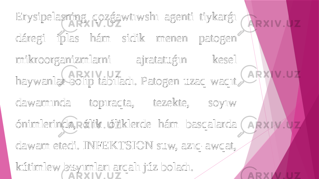 Erysipelasning qozǵawtıwshı agenti tiykarǵı dáregi iplas hám sidik menen patogen mikroorganizmlarni ajratatuǵın kesel haywanlar bolıp tabıladı. Patogen uzaq waqıt dawamında topıraqta, tezekte, soyıw ónimlerinde, ólik óliklerde hám basqalarda dawam etedi. INFEKTSION suw, azıq-awqat, kútimlew buyımları arqalı júz boladı. 