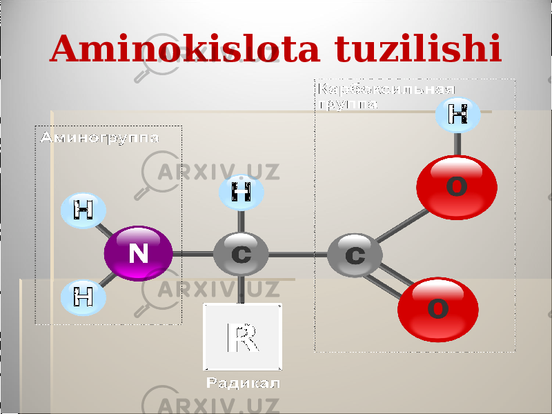 Aminokislota tuzilishi 