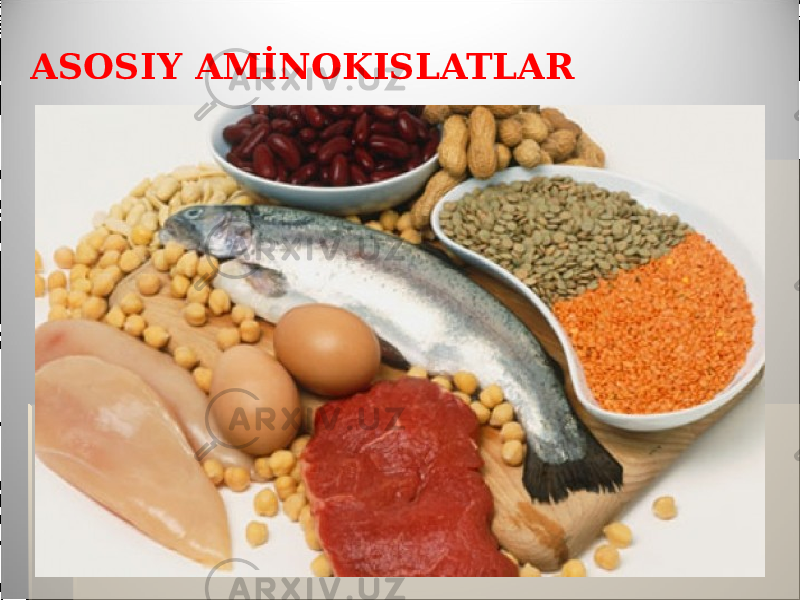 ASOSIY AMİNOKISLATLAR 