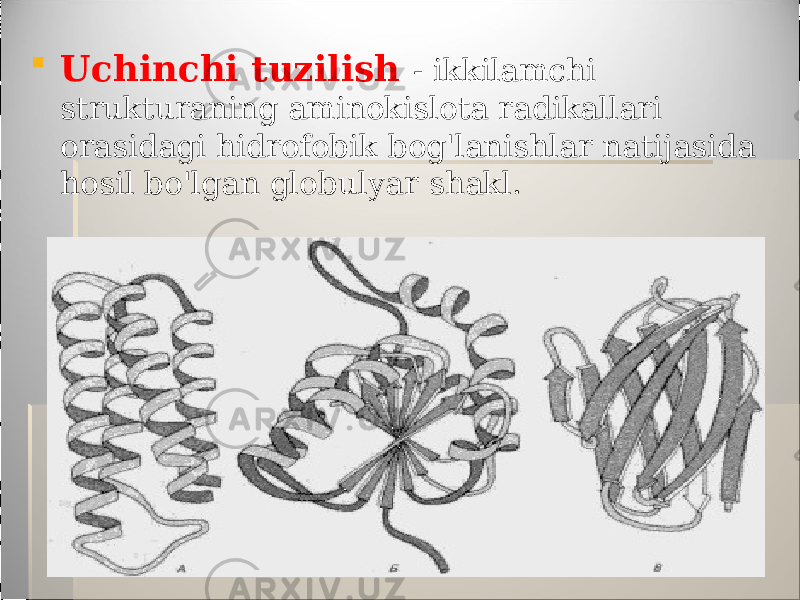  Uchinchi tuzilish - ikkilamchi strukturaning aminokislota radikallari orasidagi hidrofobik bog&#39;lanishlar natijasida hosil bo&#39;lgan globulyar shakl. 