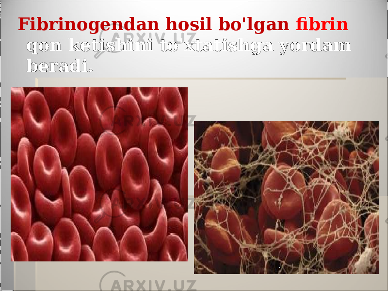  Fibrinogendan hosil bo&#39;lgan fibrin qon ketishini to&#39;xtatishga yordam beradi. 