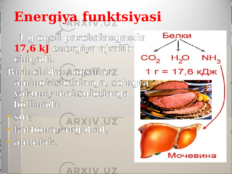 Energiya funktsiyasi 1 g oqsil parchalanganda 17,6 kJ energiya ajralib chiqadi. Birinchidan, oqsillar aminokislotalarga, so&#39;ngra yakuniy mahsulotlarga bo&#39;linadi: • suv, • karbonat angidrid, • ammiak. 