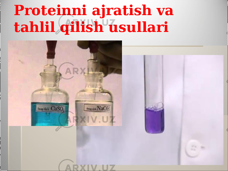 Proteinni ajratish va tahlil qilish usullari 