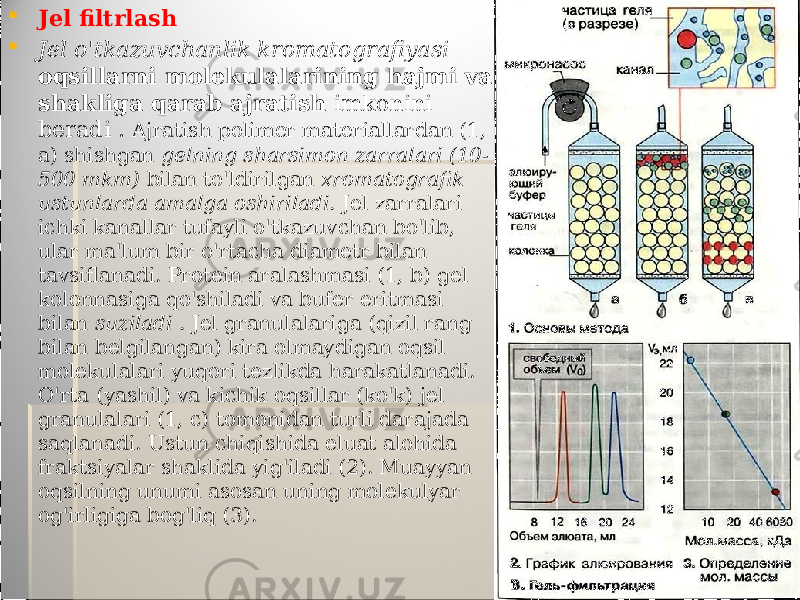  Jel filtrlash  Jel o&#39;tkazuvchanlik kromatografiyasi oqsillarni molekulalarining hajmi va shakliga qarab ajratish imkonini beradi . Ajratish polimer materiallardan (1, a) shishgan gelning sharsimon zarralari (10- 500 mkm) bilan to&#39;ldirilgan xromatografik ustunlarda amalga oshiriladi. Jel zarralari ichki kanallar tufayli o&#39;tkazuvchan bo&#39;lib, ular ma&#39;lum bir o&#39;rtacha diametr bilan tavsiflanadi. Protein aralashmasi (1, b) gel kolonnasiga qo&#39;shiladi va bufer eritmasi bilan suziladi . Jel granulalariga (qizil rang bilan belgilangan) kira olmaydigan oqsil molekulalari yuqori tezlikda harakatlanadi. O&#39;rta (yashil) va kichik oqsillar (ko&#39;k) jel granulalari (1, c) tomonidan turli darajada saqlanadi. Ustun chiqishida eluat alohida fraktsiyalar shaklida yig&#39;iladi (2). Muayyan oqsilning unumi asosan uning molekulyar og&#39;irligiga bog&#39;liq (3). 