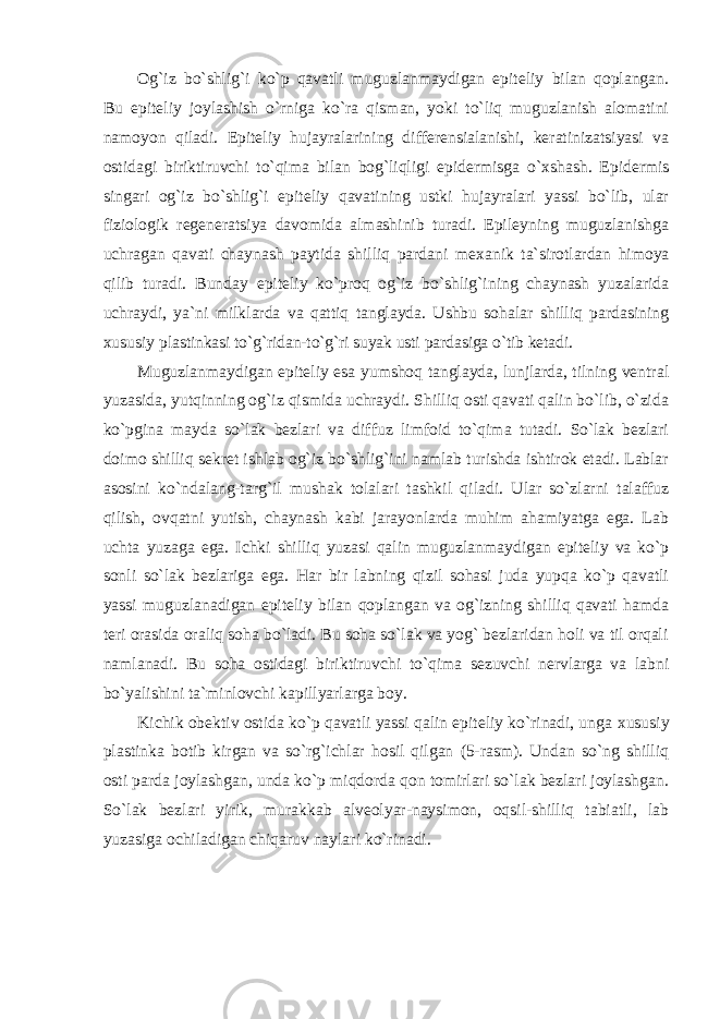 Og`iz bo`shlig`i ko`p qavatli muguzlanmaydigan epiteliy bilan qoplangan. Bu epiteliy joylashish o`rniga ko`ra qisman, yoki to`liq muguzlanish alomatini namoyon qiladi. Epiteliy hujayralarining differensialanishi, keratinizatsiyasi va ostidagi biriktiruvchi to`qima bilan bog`liqligi epidermisga o` х shash. Epidermis singari og`iz bo`shlig`i epiteliy qavatining ustki hujayralari yassi bo`lib, ular fiziologik regeneratsiya davomida almashinib turadi. Epileyning muguzlanishga uchragan qavati chaynash paytida shilliq pardani me х anik ta`sirotlardan himoya qilib turadi. Bunday epiteliy ko`proq og`iz bo`shlig`ining chaynash yuzalarida uchraydi, ya`ni milklarda va qattiq tanglayda. Ushbu sohalar shilliq pardasining х ususiy plastinkasi to`g`ridan-to`g`ri suyak usti pardasiga o`tib ketadi. Muguzlanmaydigan epiteliy esa yumshoq tanglayda, lunjlarda, tilning ventral yuzasida, yutqinning og`iz qismida uchraydi. Shilliq osti qavati qalin bo`lib, o`zida ko`pgina mayda so`lak bezlari va diffuz limfoid to`qima tutadi. So`lak bezlari doimo shilliq sekret ishlab og`iz bo`shlig`ini namlab turishda ishtirok etadi. Lablar asosini ko`ndalang-targ`il mushak tolalari tashkil qiladi. Ular so`zlarni talaffuz qilish, ovqatni yutish, chaynash kabi jarayonlarda muhim ahamiyatga ega. Lab uchta yuzaga ega. Ichki shilliq yuzasi qalin muguzlanmaydigan epiteliy va ko`p sonli so`lak bezlariga ega. Har bir labning qizil sohasi juda yupqa ko`p qavatli yassi muguzlanadigan epiteliy bilan qoplangan va og`izning shilliq qavati hamda teri orasida oraliq soha bo`ladi. Bu soha so`lak va yog` bezlaridan holi va til orqali namlanadi. Bu soha ostidagi biriktiruvchi to`qima sezuvchi nervlarga va labni bo`yalishini ta`minlovchi kapillyarlarga boy. Kichik obektiv ostida ko`p qavatli yassi qalin epiteliy ko`rinadi, unga х ususiy plastinka botib kirgan va so`rg`ichlar hosil qilgan (5-rasm). Undan so`ng shilliq osti parda joylashgan, unda ko`p miqdorda qon tomirlari so`lak bezlari joylashgan. So`lak bezlari yirik, murakkab alveolyar-naysimon, oqsil-shilliq tabiatli, lab yuzasiga ochiladigan chiqaruv naylari ko`rinadi. 