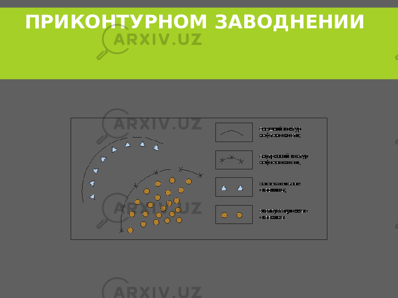 ПРИКОНТУРНОМ ЗАВОДНЕНИИ  