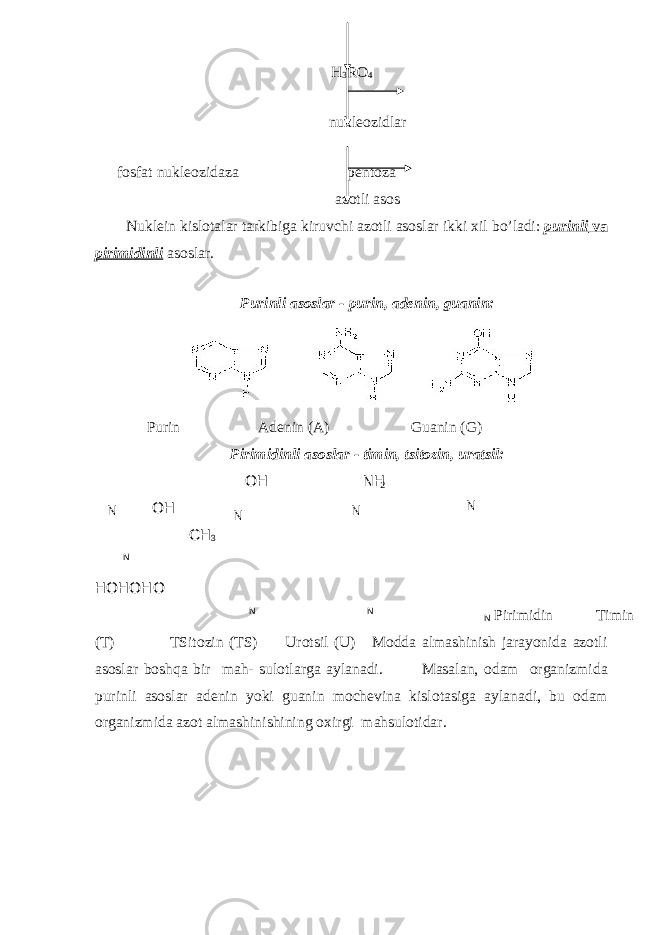 H 3 R О 4 nukleozidlar fosfat nukleozidaza pentoza azotli asos Nuklein kislotalar tarkibiga kiruvchi azotli asoslar ikki х il bo’ladi: purinli va pirimidinli asoslar. Purinli asoslar - purin, adenin, guanin: Purin Adenin (A) Guanin (G) Pirimidinli asoslar - timin, tsitozin, uratsil: OH NH OH CH 3 N HOHOHO N N N Pirimidin Timin (T) TSitozin (TS) Urotsil (U) Modda almashinish jarayonida azotli asoslar boshqa bir mah- sulotlarga aylanadi. Masalan, odam organizmida purinli asoslar adenin yoki guanin mochevina kislotasiga aylanadi, bu odam organizmida azot almashinishining o х irgi mahsulotidar. N 2 N NN 