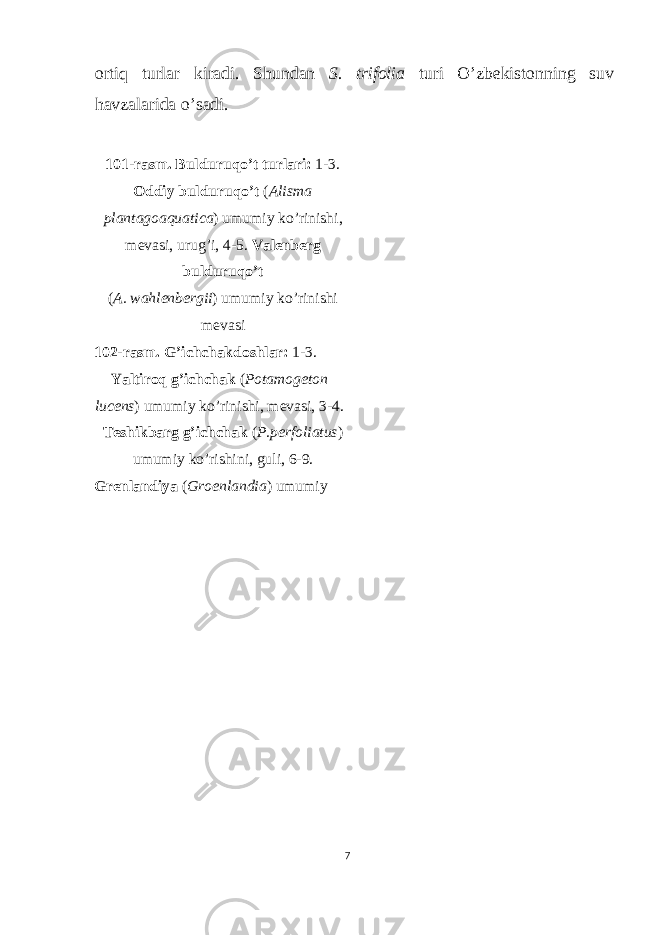 ortiq turlar kiradi. Shundan S. trifolia turi O’zbekistonning suv havzalarida o’sadi. 101-rasm. Bulduruqo’t turlari: 1-3. Oddiy bulduruqo’t ( Alisma plantagoaquatica ) umumiy ko’rinishi, mevasi, urug’i, 4-5. Valenberg bulduruqo’t ( A. wahlenbergii ) umumiy ko’rinishi mevasi 102-rasm. G’ichchakdoshlar: 1-3. Yaltiroq g’ichchak ( Potamogeton lucens ) umumiy ko’rinishi, mevasi, 3-4. Teshikbarg g’ichchak ( P.perfoliatus ) umumiy ko’rishini, guli, 6-9. Grenlandiya ( Groenlandia ) umumiy 7 