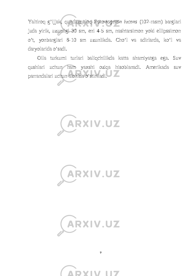 Yaltiroq g’ijjak, qunduzquloq- Potamogeton lucens (102-rasm) barglari juda yirik, uzunligi 30 sm, eni 4-5 sm, nashtarsimon yoki ellipssimon o’t, yonbarglari 8-10 sm uzunlikda. Cho’l va adirlarda, ko’l va daryolarida o’sadi. Oila turkumi turlari baliqchilikda katta ahamiyatga ega. Suv qushlari uchun ham yaxshi oziqa hisoblanadi. Amerikada suv parrandalari uchun alohida o’stiriladi. 9 