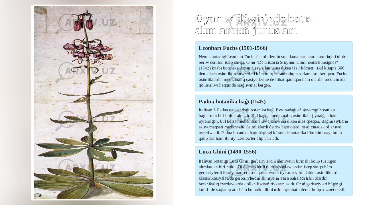 Oyanıw dáwirinde batıs alımlarınıń jumısları Leonhart Fuchs (1501-1566) Nemis botanigi Leonhart Fuchs ósimliklerdiń sıpatlamaların anıq hám rinjeli túrde beriw usılıbın islep shıqtı. Onıń &#34;De Historia Stirpium Commentarii Insignes&#34; (1542) kitabı botanika iliminiń rawajlanıwına úlken tásir kórsetti. Bul kitapta 500 den aslam ósimliktiń súwretleri hám tolıq botanikalıq sıpatlamaları berilgen. Fuchs ósimliklerdiń medicinalıq qásiyetlerine de itibar qaratqan hám olardıń medicinada qollanılıwı haqqında maǵlıwmat bergen. Padua botanika baǵı (1545) Italiyanıń Padua qalasındaǵı botanika baǵı Evropadaǵı eń áyyemgi botanika baǵlarınıń biri bolıp tabıladı. Bul baǵda medicinalıq ósimlikler jıynalǵan hám úyrenilgen, bul bolsa medicinanıń rawajlanıwına úlken úles qosqan. Baǵtıń tiykarın salıw maqseti medicinalıq ósimliklerdi ósiriw hám olardı medicinada qollanıwdı úyretiw edi. Padua botanika baǵı búgingi kúnde de botanika iliminiń orayı bolıp qalıp atır hám ilimiy izertlewler alıp barıladı. Luca Ghini (1490-1556) Italiyan botanigi Luca Ghini gerbariylerdiń áhmiyetin birinshi bolıp túsingen alımlardan biri boldı. Ol ósimliklerdi quritip saqlaw usılın islep shıqtı hám gerbariylerdi ilimiy maqsetlerde qollanıwdıń tiykarın saldı. Ghini ósimliklerdi klassifikasiyalawda gerbariylerdiń áhmiyetin asıra bahaladı hám olardıń botanikalıq izertlewlerde qollanılıwınıń tiykarın saldı. Onıń gerbariyleri búgingi kúnde de saqlanıp atır hám botanika ilimi ushın qımbatlı derek bolıp xızmet etedi. 