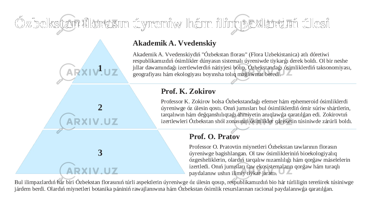 Ózbekstan florasın úyreniw hám ilimpazlardıń úlesi 1 Akademik A. Vvedenskiy Akademik A. Vvedenskiydiń &#34;Ózbekstan florası&#34; (Flora Uzbekistanica) atlı dóretiwi respublikamızdıń ósimlikler dúnyasın sistemalı úyreniwde tiykarǵı derek boldı. Ol bir neshe jıllar dawamındaǵı izertlewlerdiń nátiyjesi bolıp, Ózbekstandaǵı ósimliklerdiń taksonomiyası, geografiyası hám ekologiyası boyınsha tolıq maǵlıwmat beredi. 2 Prof. K. Zokirov Professor K. Zokirov bolsa Ózbekstandaǵı efemer hám ephemeroid ósimliklerdi úyreniwge óz úlesin qostı. Onıń jumısları bul ósimliklerdiń ómir súriw shártlerin, tarqalıwın hám deǵqanshılıqtaǵı áhmiyetin anıqlawǵa qaratılǵan edi. Zokirovtıń izertlewleri Ózbekstan shól zonasınıń ósimlikler qáreketin túsiniwde zárúrli boldı. 3 Prof. O. Pratov Professor O. Pratovtin miynetleri Ózbekstan tawlarının florasın úyreniwge bagishlangan. Ol taw ósimlikleriniń bioekologiyalıq ózgesheliklerin, olardıń tarqalıw nızamlılıǵı hám qorǵaw máselelerin izertledi. Onıń jumısları taw ekosistemaların qorǵaw hám turaqlı paydalanıw ushın ilimiy tiykar jarattı. Bul ilimpazlardıń hár biri Ózbekstan florasınıń túrli aspektlerin úyreniwge óz úlesin qosıp, respublikamızdıń bio hár túrliligin tereńirek túsiniwge járdem berdi. Olardıń miynetleri botanika pániniń rawajlanıwına hám Ózbekstan ósimlik resurslarınan racional paydalanıwǵa qaratılǵan. 