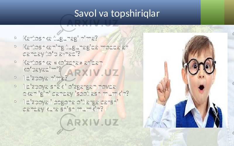 Savol va topshiriqlar • Kartoshka tugunagi nima? • Kartoshkaning tugunagida moddalar qanday to‘pla-nadi? • Kartoshka «ko‘zcha»laridan ko‘payadimi? • Ildizpoya nima? • Ildizpoya shakli o‘zgargan novda ekanligini qanday isbotlash mumkin? • Ildizpoyali begona o‘tlarga qarshi qanday kura shish mumkin? 