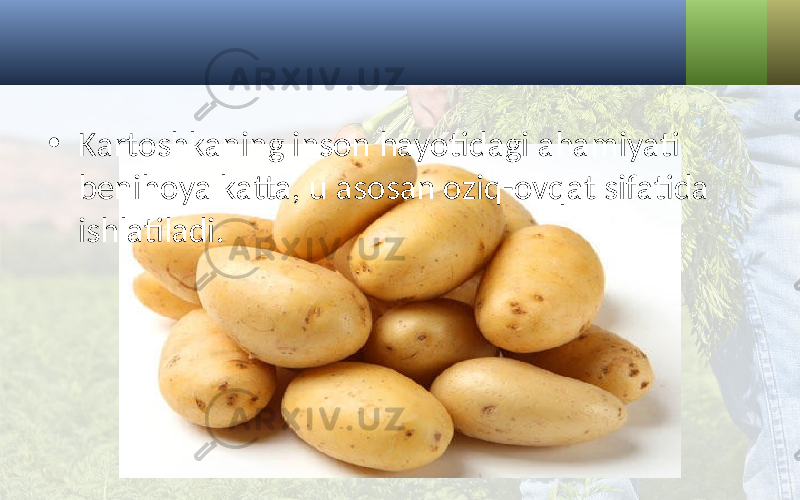 • Kartoshkaning inson hayotidagi ahamiyati benihoya katta, u asosan oziq-ovqat sifatida ishlatiladi. 