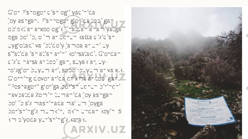 G&#39;or Pishogor qishlog&#39;i yaqinida joylashgan. Pishhogor g&#39;orida topilgan ob&#39;ektlar arxeologik jihatdan ahamiyatga ega bo&#39;lib, olimlar uchun katta qiziqish uyg&#39;otadi va ibtidoiy jamoalar uni uy sifatida ishlatishlarini ko&#39;rsatadi. G&#39;ordan qiziq narsalar topilgan, suyaklar, uy- ro&#39;zg&#39;or buyumlari, sopol buyumlar va x.k. G&#39;orning devorlarida chizmalar topilgan. &#34;Peshagor&#34; g&#39;origa borish uchun birinchi navbatda Zomin tumanida joylashgan bo&#39;lib siz mashinada ma&#39;lum joyga borishingiz mumkin, lekin undan keyin 5 km piyoda yurishingiz kerak. 