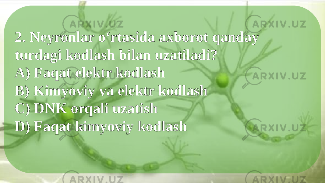 2. Neyronlar o‘rtasida axborot qanday turdagi kodlash bilan uzatiladi? A) Faqat elektr kodlash B) Kimyoviy va elektr kodlash C) DNK orqali uzatish D) Faqat kimyoviy kodlash 