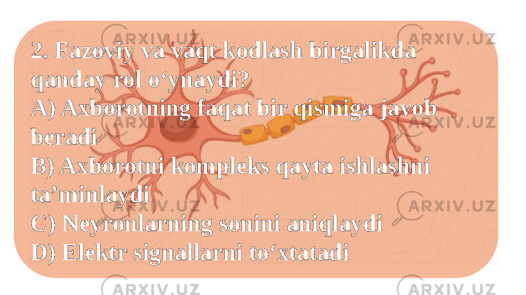 2. Fazoviy va vaqt kodlash birgalikda qanday rol o‘ynaydi? A) Axborotning faqat bir qismiga javob beradi B) Axborotni kompleks qayta ishlashni taʼminlaydi C) Neyronlarning sonini aniqlaydi D) Elektr signallarni to‘xtatadi 