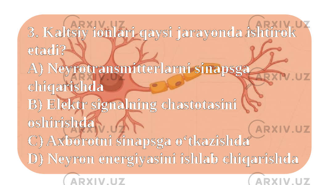 3. Kaltsiy ionlari qaysi jarayonda ishtirok etadi? A) Neyrotransmitterlarni sinapsga chiqarishda B) Elektr signalning chastotasini oshirishda C) Axborotni sinapsga o‘tkazishda D) Neyron energiyasini ishlab chiqarishda 