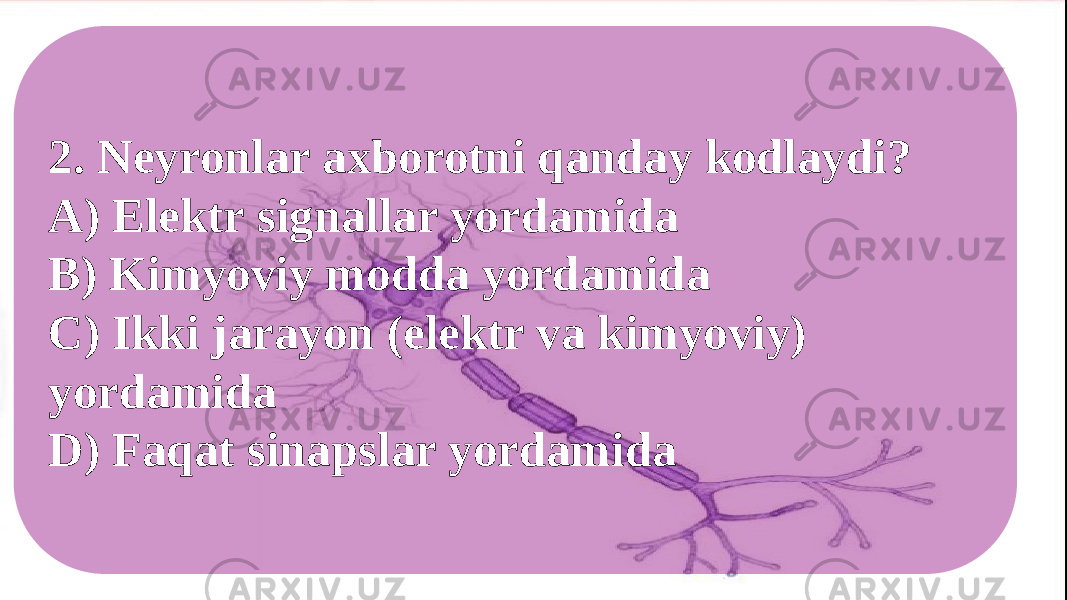 2. Neyronlar axborotni qanday kodlaydi? A) Elektr signallar yordamida B) Kimyoviy modda yordamida C) Ikki jarayon (elektr va kimyoviy) yordamida D) Faqat sinapslar yordamida 