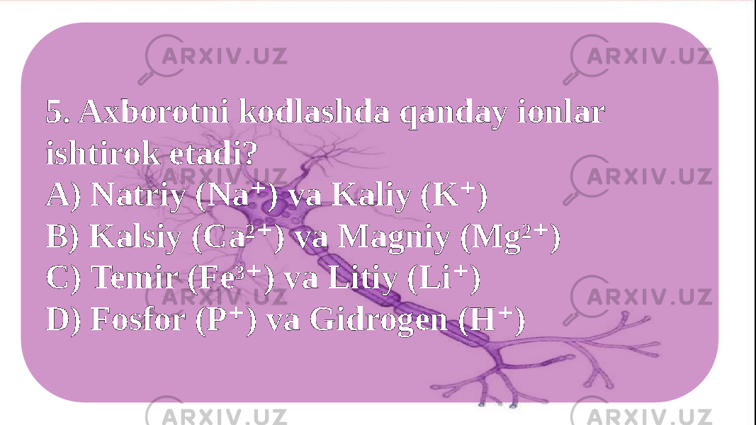 5. Axborotni kodlashda qanday ionlar ishtirok etadi? A) Natriy (Na ) va Kaliy (K )⁺ ⁺ B) Kalsiy (Ca² ) va Magniy (Mg² ) ⁺ ⁺ C) Temir (Fe³ ) va Litiy (Li ) ⁺ ⁺ D) Fosfor (P ) va Gidrogen (H ) ⁺ ⁺ 