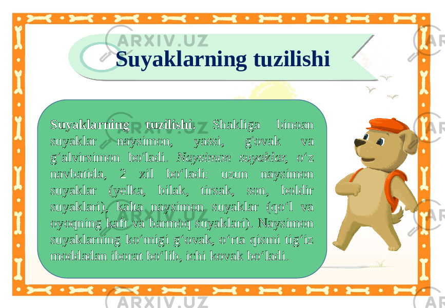 Suyaklarning tuzilishi. Shakliga binoan suyaklar naysimon, yassi, g&#39;ovak va g‘alvirsimon bo&#39;ladi. Naysimon suyaklar, o‘z navbatida, 2 xil bo‘ladi: uzun naysimon suyaklar (yelka, bilak, tirsak, son, boldir suyaklari), kalta naysimon suyaklar (qo‘l va oyoqning kaft va barmoq suyaklari). Naysimon suyaklarning ko‘migi g‘ovak, o‘rta qismi tig‘iz moddadan iborat bo‘lib, ichi kovak bo‘ladi. Suyaklarning tuzilishi08 