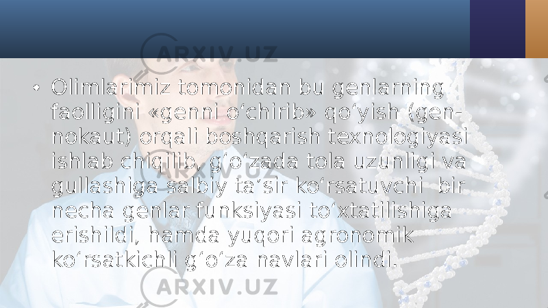 • Olimlarimiz tomonidan bu genlarning faolligini «genni o‘chirib» qo‘yish (gen- nokaut) orqali boshqarish texnologiyasi ishlab chiqilib, g‘o‘zada tola uzunligi va gullashiga salbiy ta’sir ko‘rsatuvchi bir necha genlar funksiyasi to‘xtatilishiga erishildi, hamda yuqori agronomik ko‘rsatkichli g‘o‘za navlari olindi. 