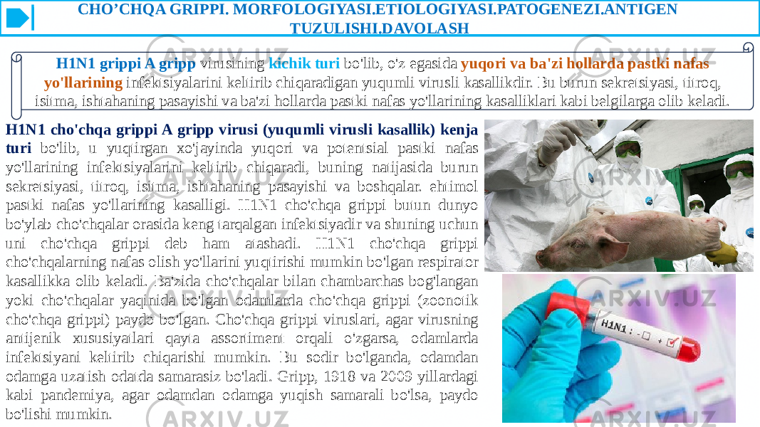 CHO’CHQA GRIPPI. MORFOLOGIYASI.ETIOLOGIYASI.PATOGENEZI.ANTIGEN TUZULISHI.DAVOLASH H1N1 grippi A gripp virusining kichik turi bo&#39;lib, o&#39;z egasida yuqori va ba&#39;zi hollarda pastki nafas yo&#39;llarining infektsiyalarini keltirib chiqaradigan yuqumli virusli kasallikdir. Bu burun sekretsiyasi, titroq, isitma, ishtahaning pasayishi va ba&#39;zi hollarda pastki nafas yo&#39;llarining kasalliklari kabi belgilarga olib keladi.  H1N1 cho&#39;chqa grippi A gripp virusi (yuqumli virusli kasallik) kenja turi bo&#39;lib, u yuqtirgan xo&#39;jayinda yuqori va potentsial pastki nafas yo&#39;llarining infektsiyalarini keltirib chiqaradi, buning natijasida burun sekretsiyasi, titroq, isitma, ishtahaning pasayishi va boshqalar. ehtimol pastki nafas yo&#39;llarining kasalligi. H1N1 cho&#39;chqa grippi butun dunyo bo&#39;ylab cho&#39;chqalar orasida keng tarqalgan infektsiyadir va shuning uchun uni cho&#39;chqa grippi deb ham atashadi. H1N1 cho&#39;chqa grippi cho&#39;chqalarning nafas olish yo&#39;llarini yuqtirishi mumkin bo&#39;lgan respirator kasallikka olib keladi. Ba&#39;zida cho&#39;chqalar bilan chambarchas bog&#39;langan yoki cho&#39;chqalar yaqinida bo&#39;lgan odamlarda cho&#39;chqa grippi (zoonotik cho&#39;chqa grippi) paydo bo&#39;lgan. Cho&#39;chqa grippi viruslari, agar virusning antijenik xususiyatlari qayta assortiment orqali o&#39;zgarsa, odamlarda infektsiyani keltirib chiqarishi mumkin. Bu sodir bo&#39;lganda, odamdan odamga uzatish odatda samarasiz bo&#39;ladi. Gripp, 1918 va 2009 yillardagi kabi pandemiya, agar odamdan odamga yuqish samarali bo&#39;lsa, paydo bo&#39;lishi mumkin. 