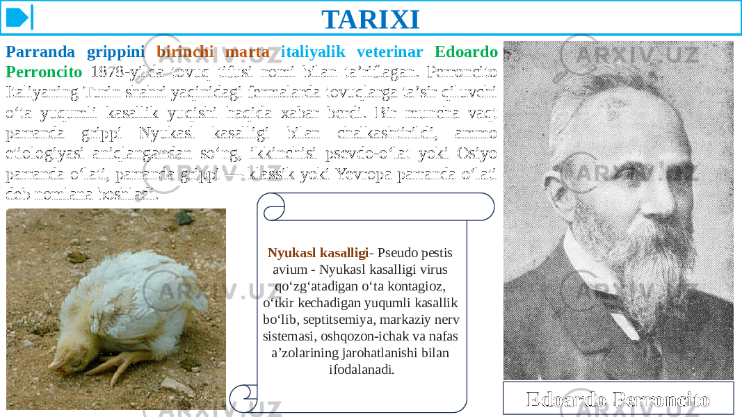 TARIXI Parranda grippini birinchi marta italiyalik veterinar Edoardo Perroncito 1878-yilda tovuq tifusi nomi bilan taʼriflagan. Perroncito Italiyaning Turin shahri yaqinidagi fermalarda tovuqlarga taʼsir qiluvchi oʻta yuqumli kasallik yuqishi haqida xabar berdi. Bir muncha vaqt parranda grippi Nyukasl kasalligi bilan chalkashtirildi, ammo etiologiyasi aniqlangandan soʻng, ikkinchisi psevdo-oʻlat yoki Osiyo parranda oʻlati, parranda grippi — klassik yoki Yevropa parranda oʻlati deb nomlana boshladi. Nyukasl kasalligi - Pseudo pestis avium - Nyukasl kasalligi virus qo‘zg‘atadigan o‘ta kontagioz, o‘tkir kechadigan yuqumli kasallik bo‘lib, septitsemiya, markaziy nerv sistemasi, oshqozon-ichak va nafas a’zolarining jarohatlanishi bilan ifodalanadi. Edoardo Perroncito 